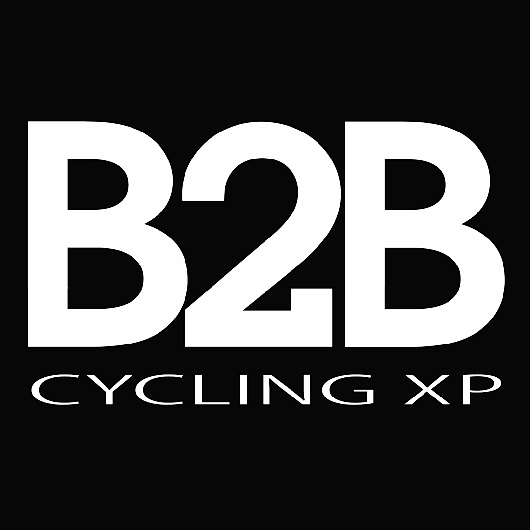B2B Logo negro copia