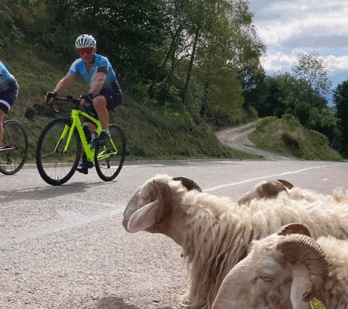 Viaje de Ciclismo a los Pirineos Franceses