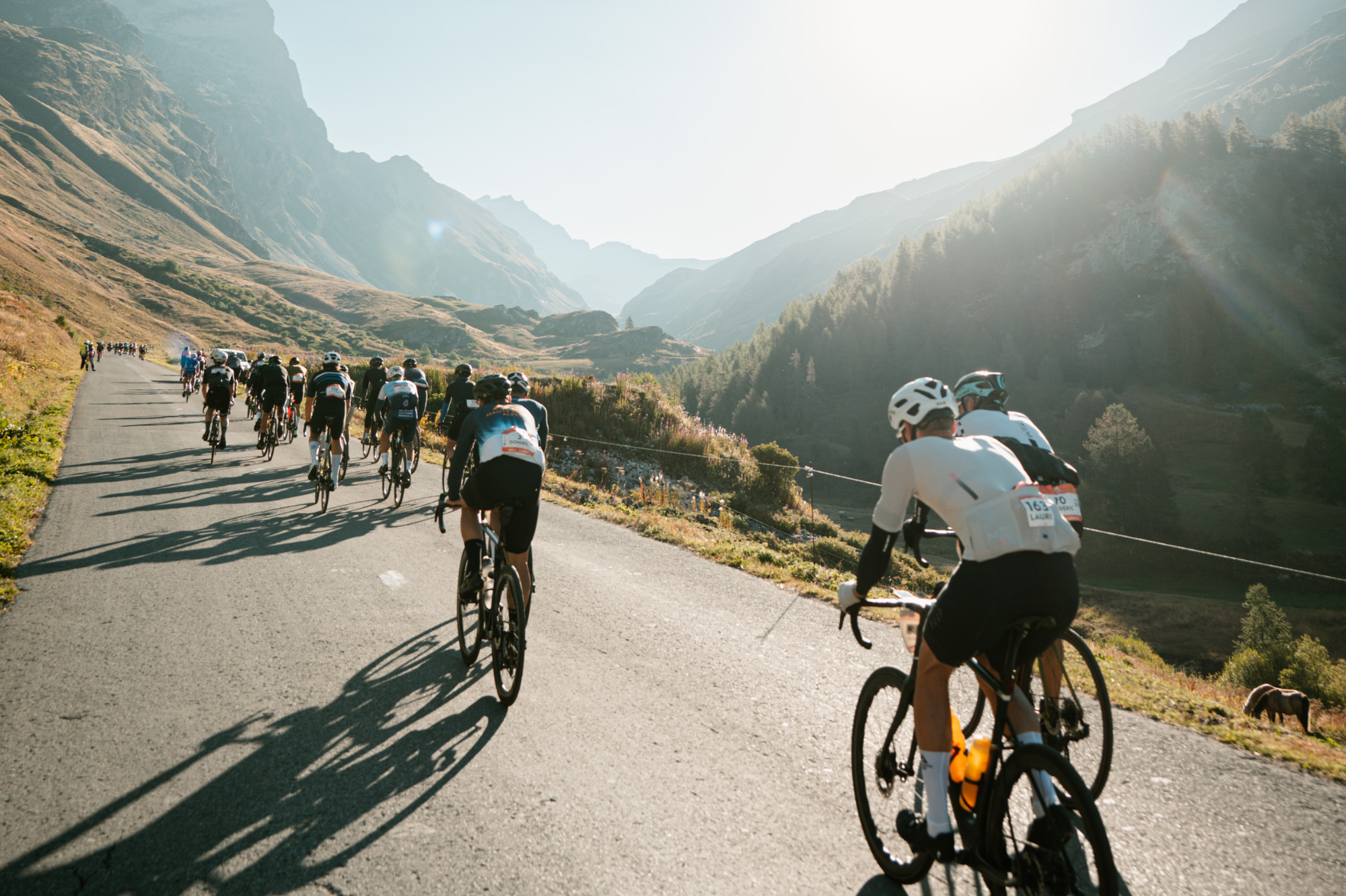 Haute Route 3 días 2026