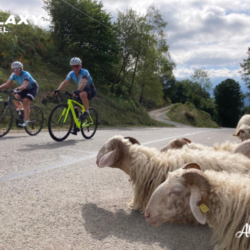 Galaxy_Travel_Pirineos