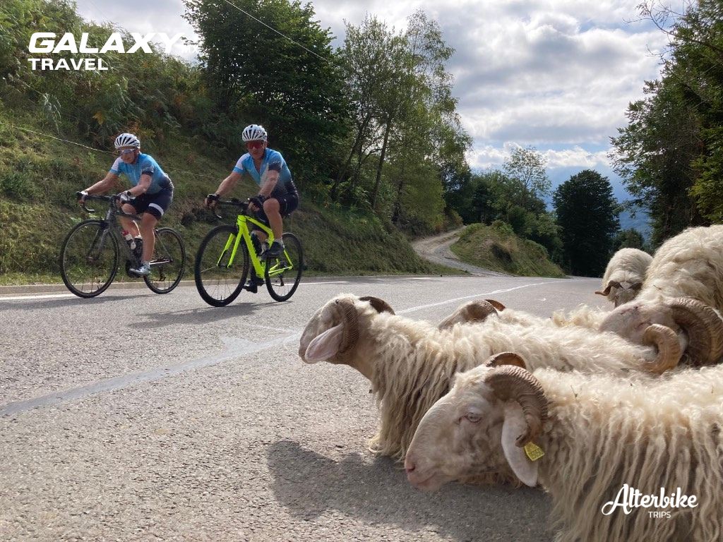 Galaxy_Travel_Pirineos