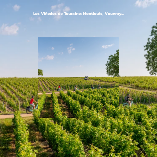 Viaje-ciclismo-Francia-Castillos