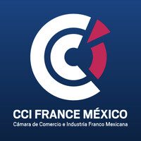 ccifranmex_logo